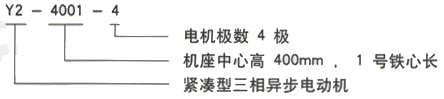 YR系列(H355-1000)高压YKK5002-6三相异步电机西安西玛电机型号说明